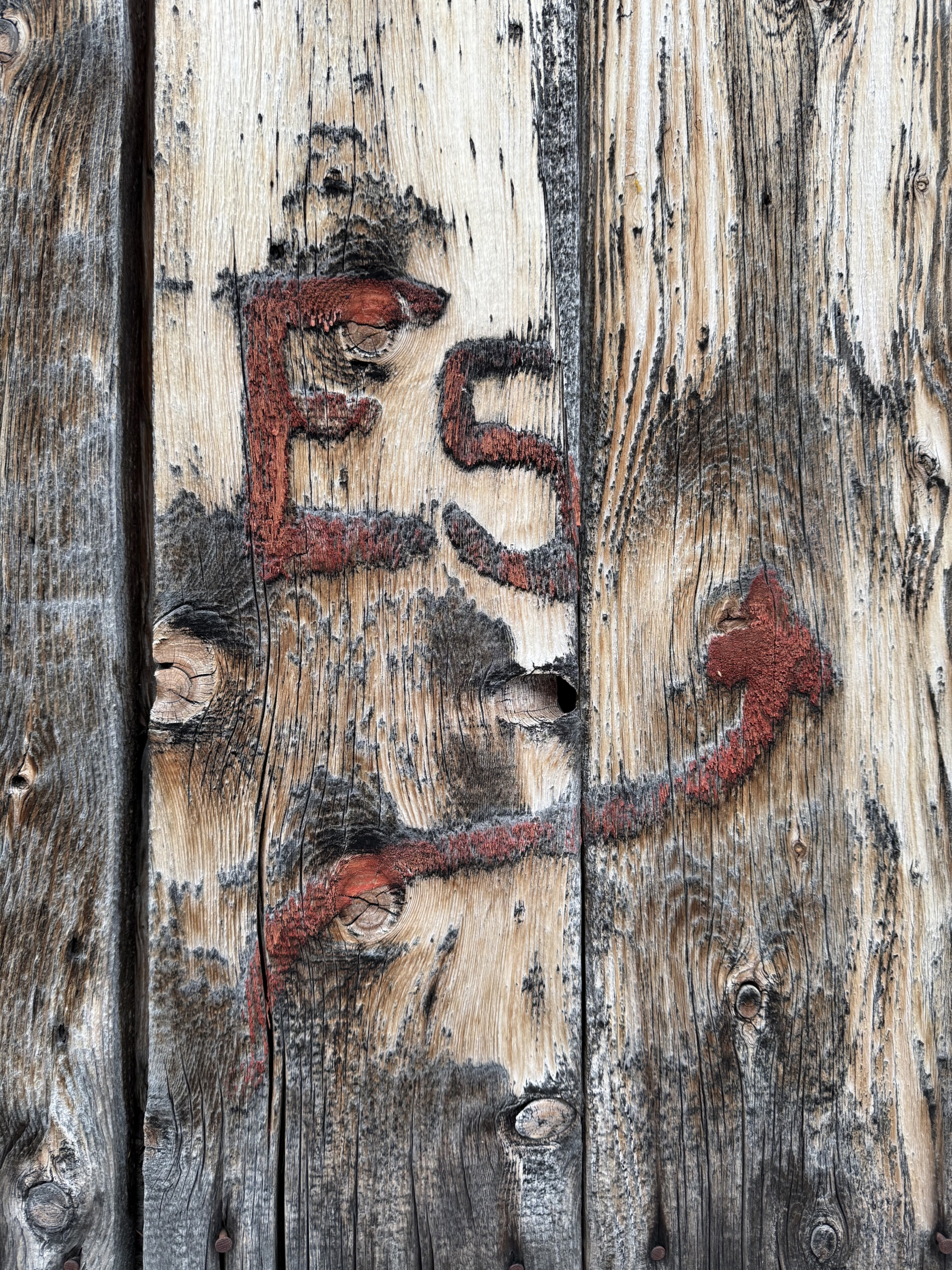 Weltpilgertag: „Pilgern für FührungsKraft“