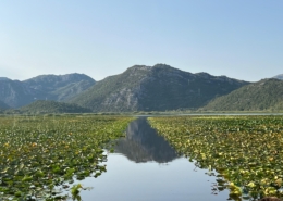 Stress als Spiegel unserer Gesellschaft – warum wir neue Formen von Führung brauchen